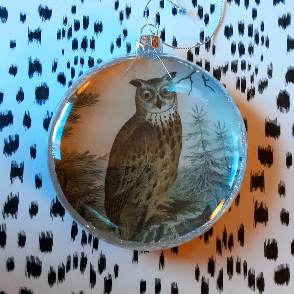 Glass Owl Ornament